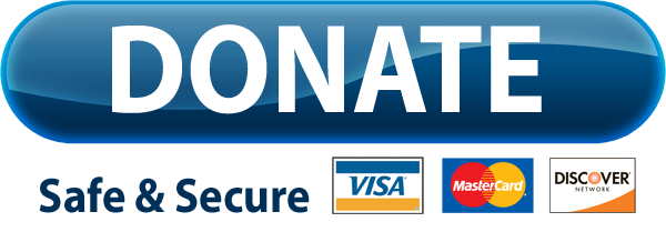 donate safe and secure button